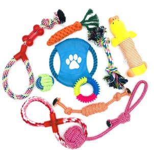A Must-Have for Every Pet Parent: The Ultimate Guide to Dog Toys and Grooming Tools
