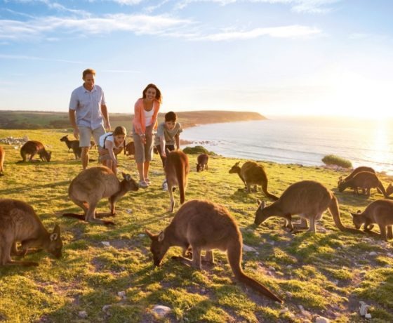 Unlock Big Savings: Your Epic Cheap Europe Tour Experience
