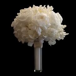 Roses That Wow: A Fresh Take on Luxe Blooms