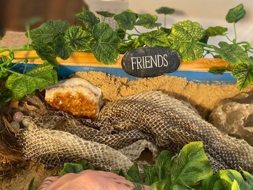 A Practical Path to Holistic Healing Near You