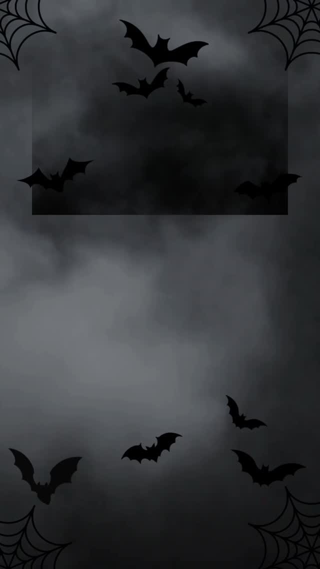 Chantilly’s thoughtful canine care, day by day