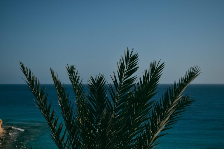 Hidden depths and sea escapes: Egypt’s underwater gems