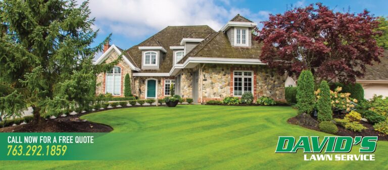 Clear paths, calm yards: practical snow and lawn care tips for Minnetonka homes