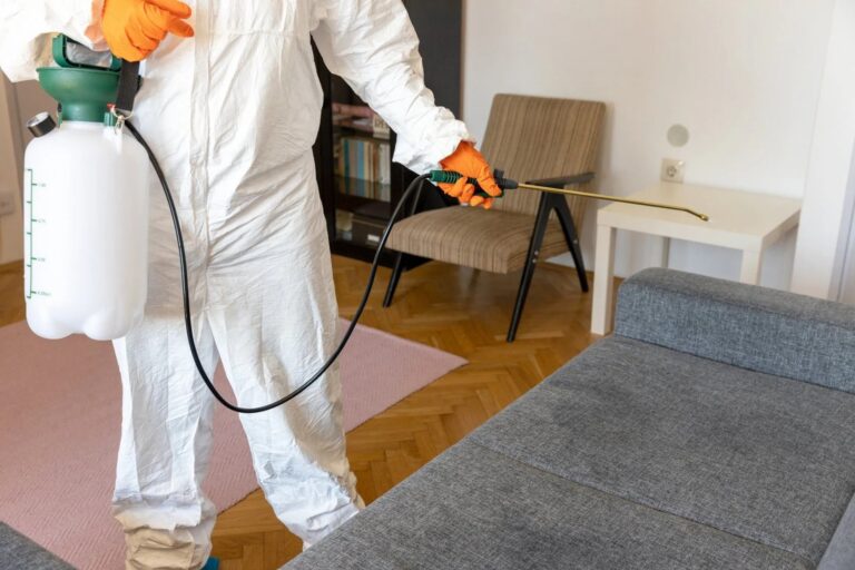 Smart, Practical Ways to Handle Termite Problems in Penrith