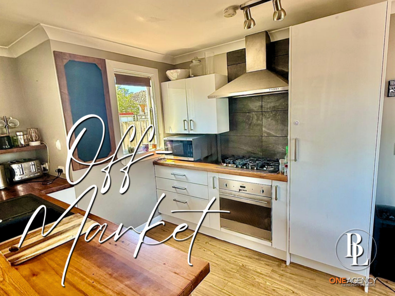 Dunedin Homes and Storage Ventures: A Practical Local Guide