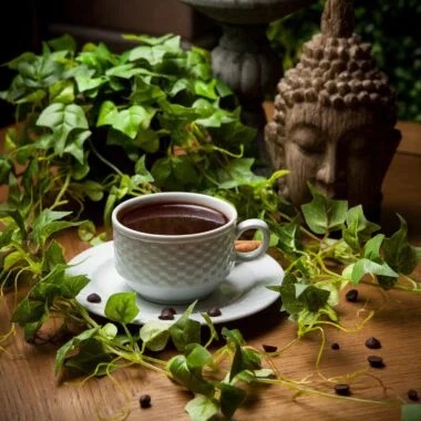 Ontdek de rijke wereld van oolong thee en slimme aankoopkeuzes